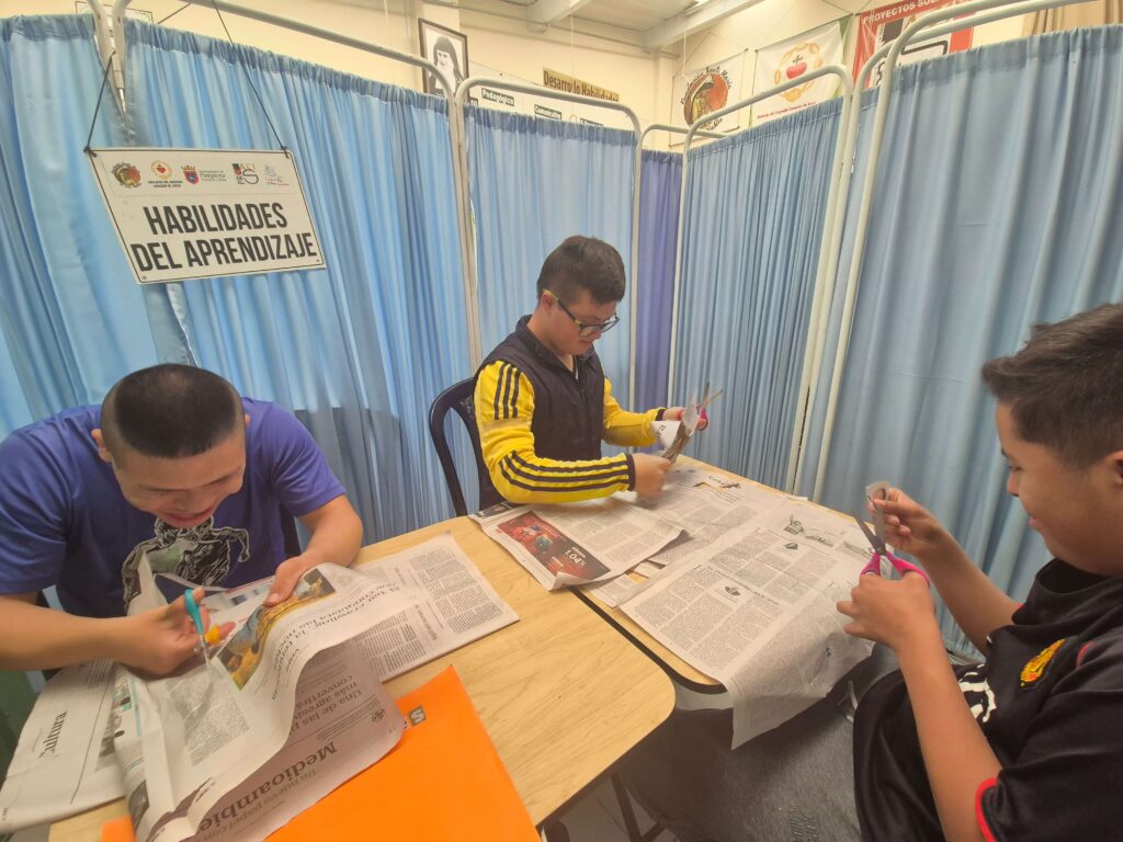 Nuestros Servicios habilidades aprendizaje